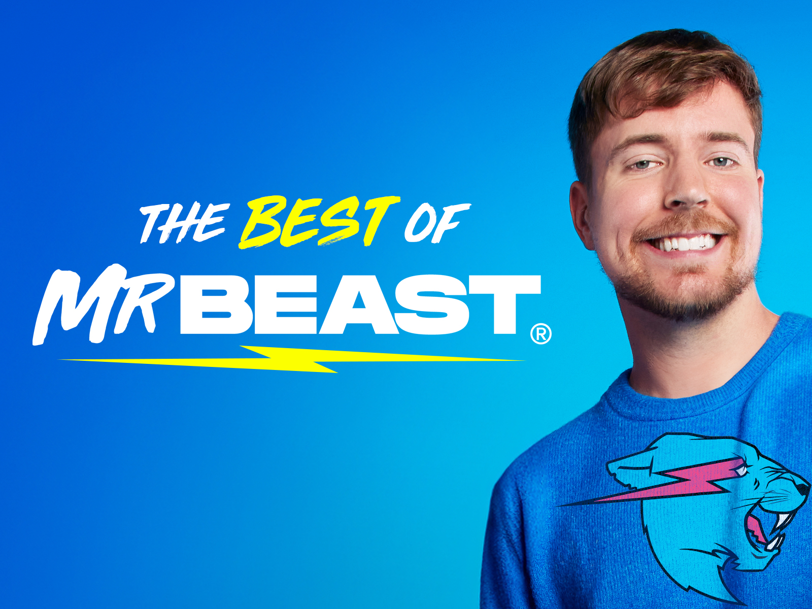 Image result for MrBeast