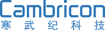Image result for Cambricon