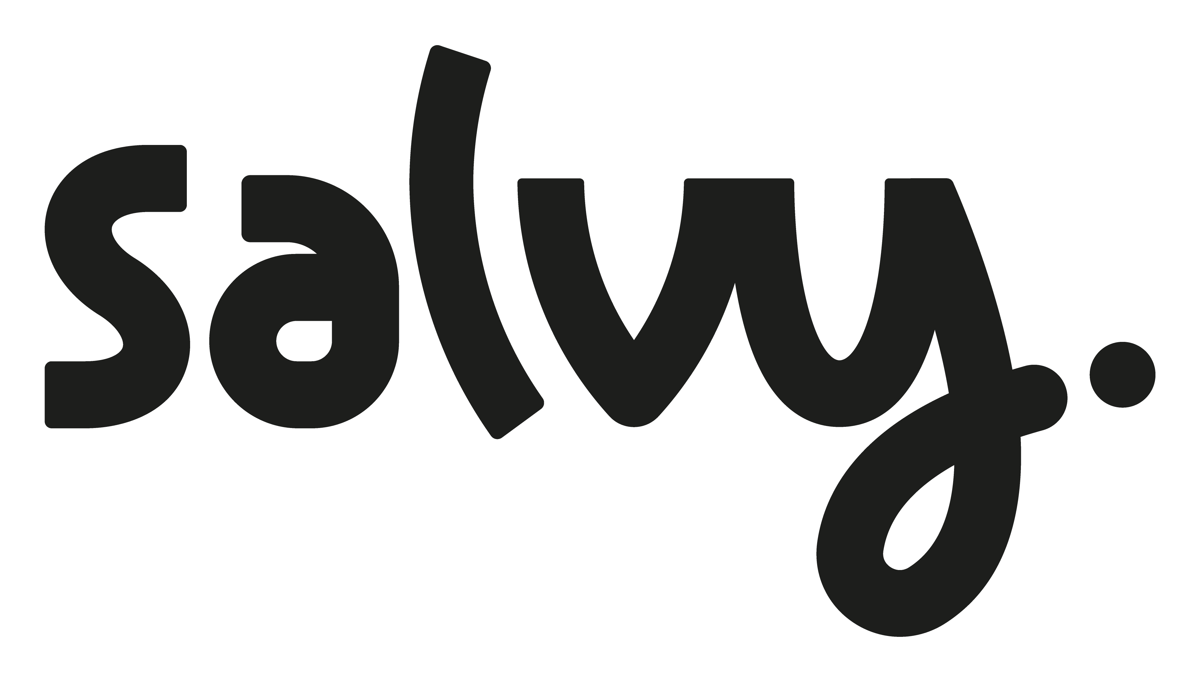 Image result for Salvy