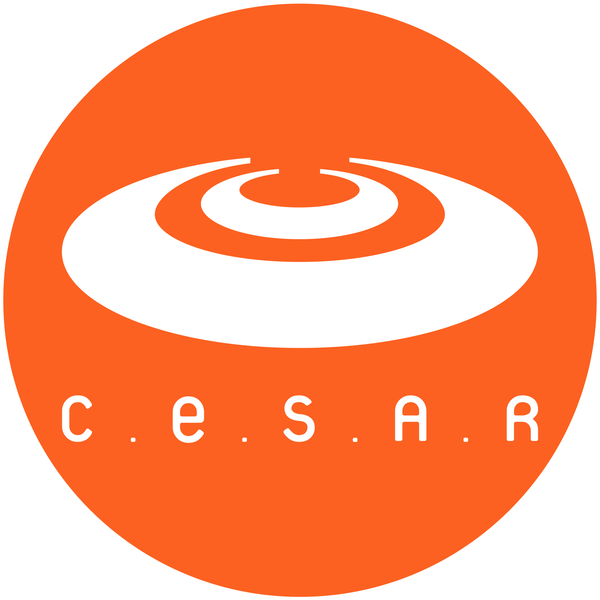 Image result for Cesar