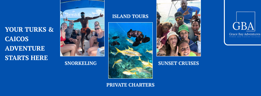Image result for Grace Bay Adventures