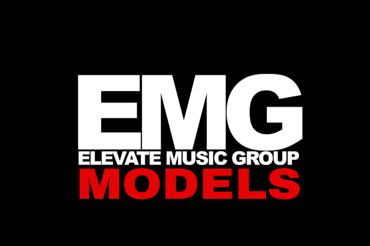 Image result for EMG Models