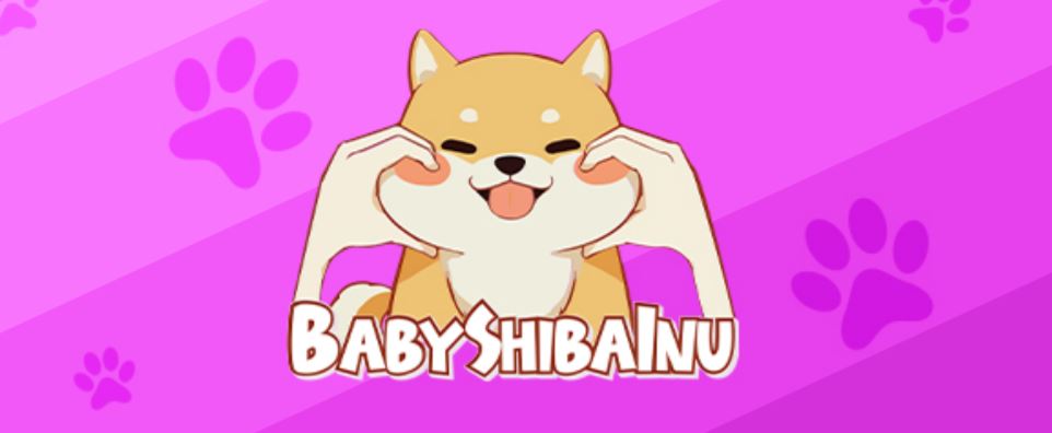 Image result for Baby Shiba Inu