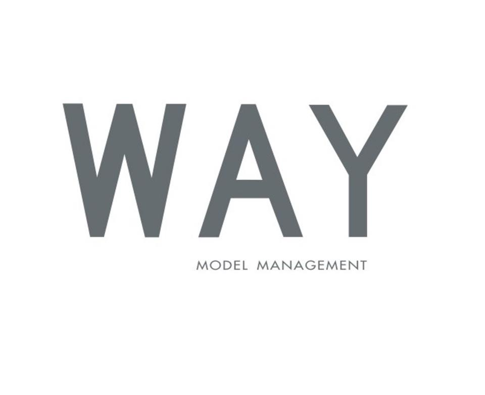 Image result for Way Model Management