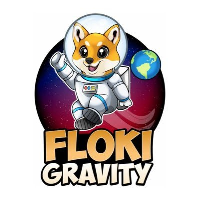 Image result for FlokiGravity