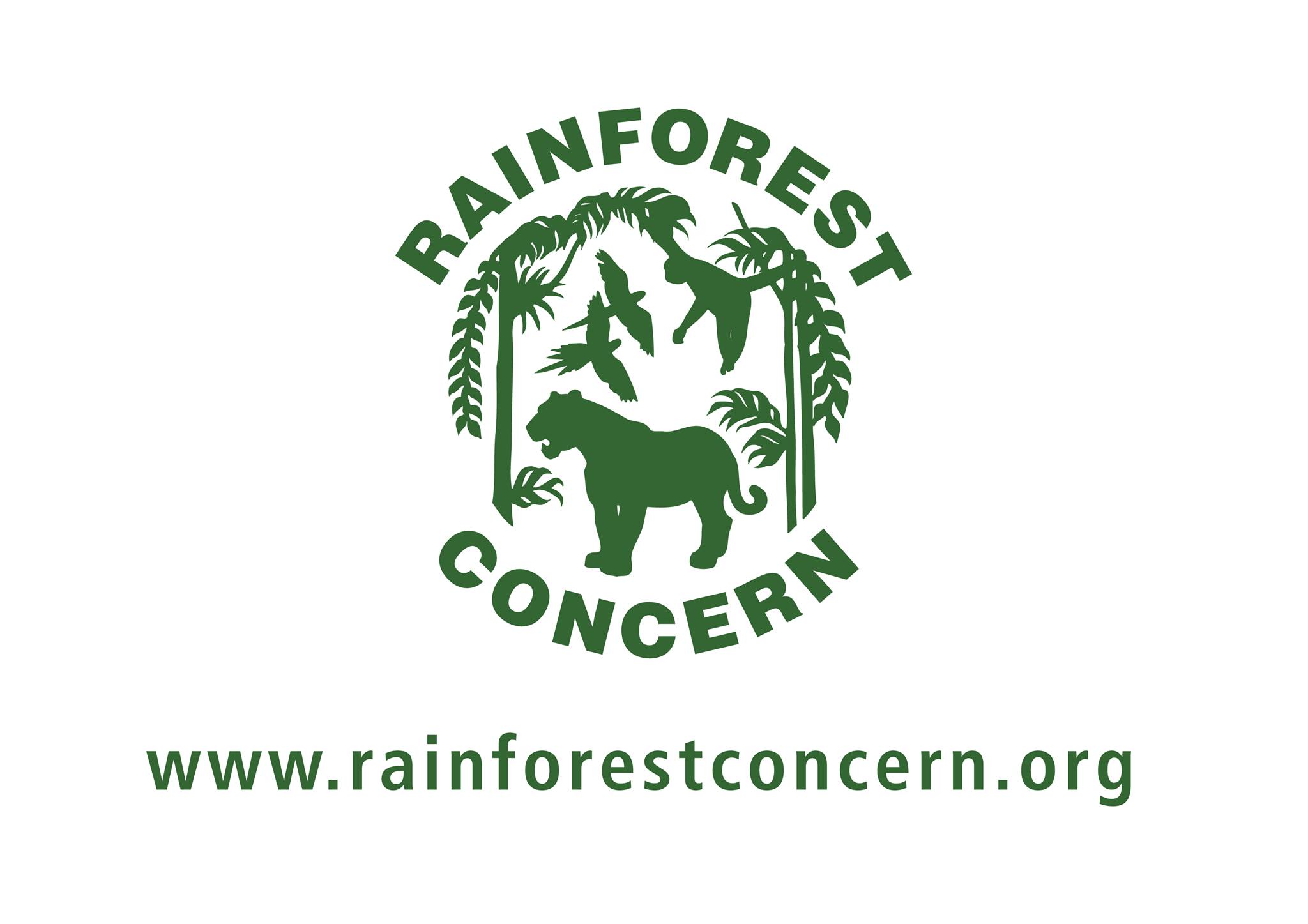 Image result for Rainforest Concern