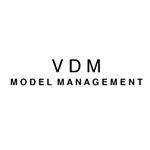 Image result for VDM Model Management