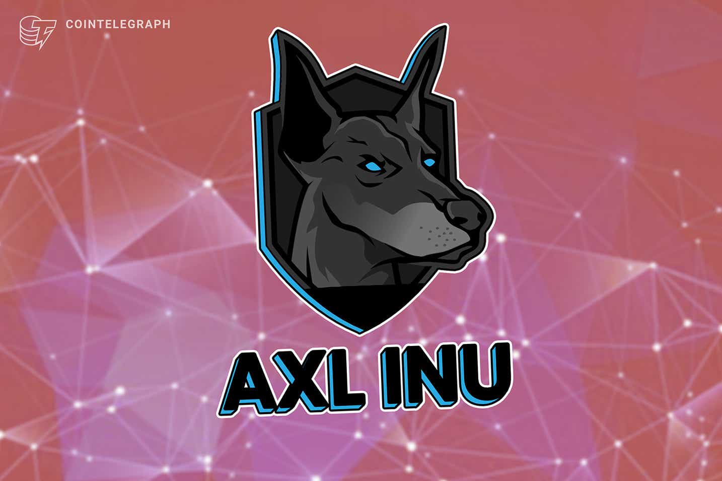 Image result for Axl Inu