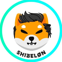 Image result for ShibElon