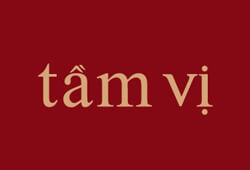 Image result for Tam VI