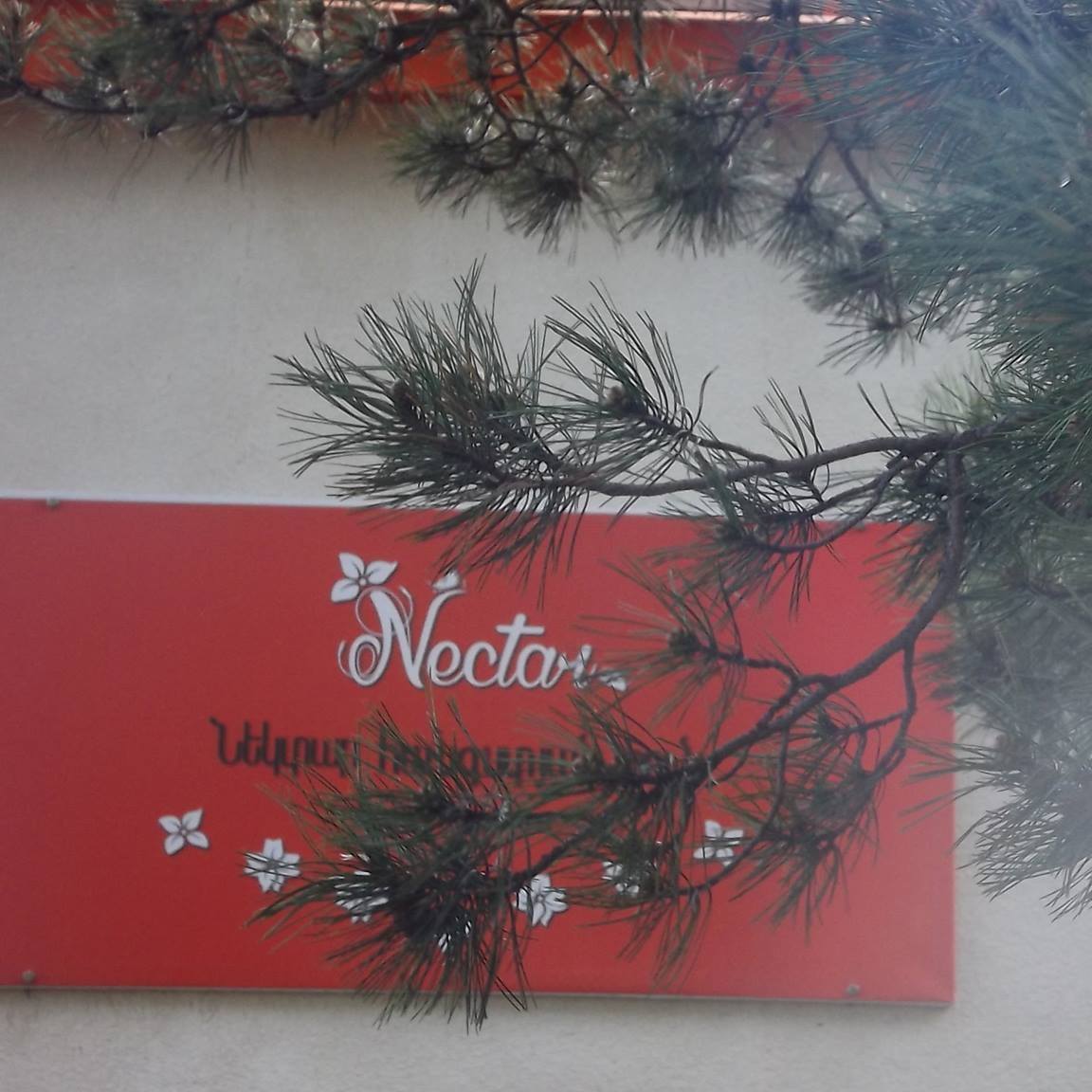 Image result for nectar hotel