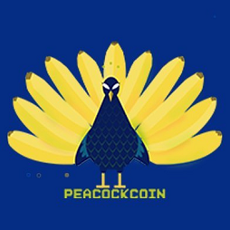 Image result for PEACOCKCOIN (BSC)