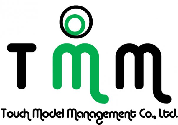 Image result for Touch Model Management (TMM)