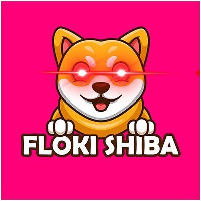 Image result for Floki Shiba