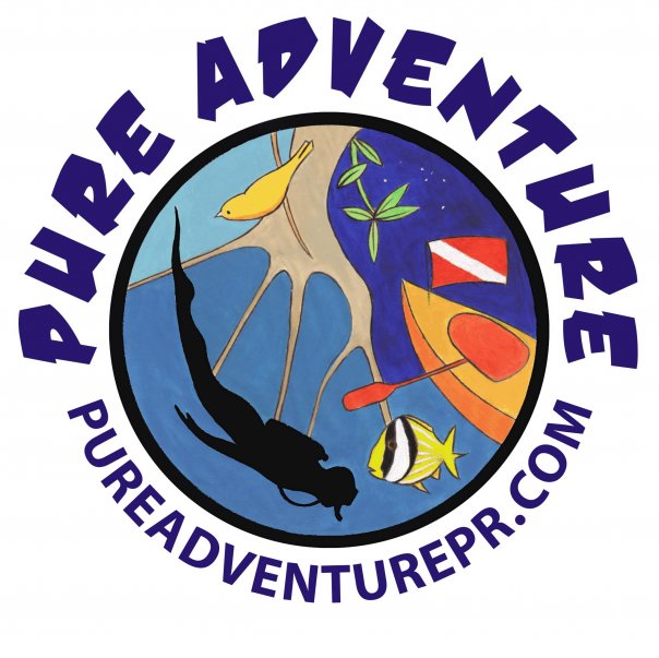 Image result for Pure Adventure Puerto Rico