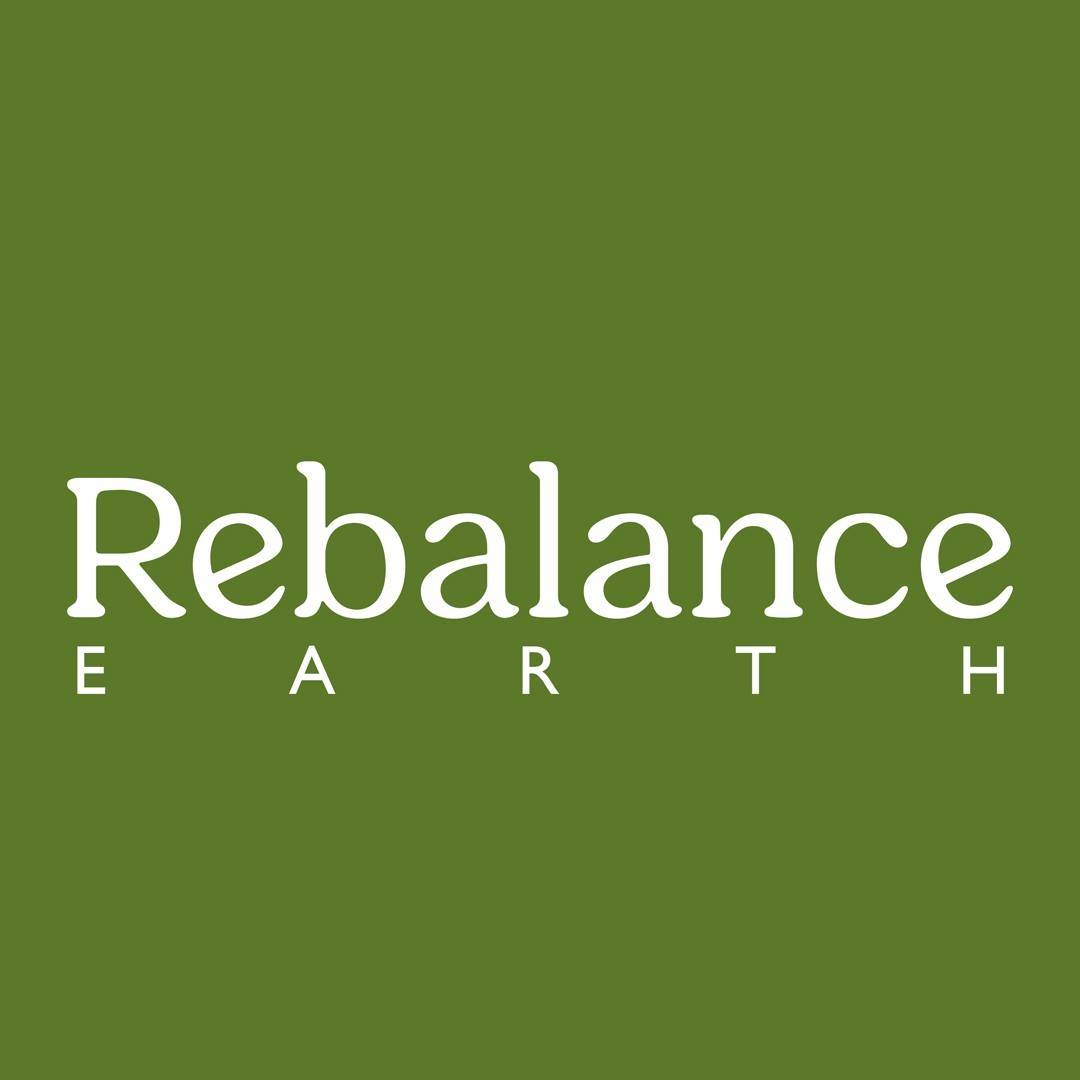 Image result for Rebalance Earth