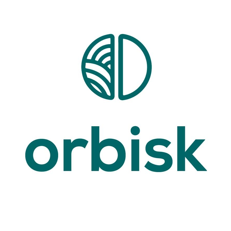 Image result for Orbisk