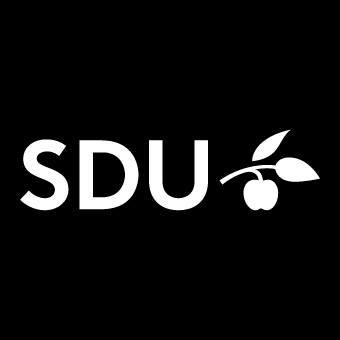 Image result for University of Southern Denmark (SDU)