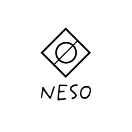 Image result for NESO