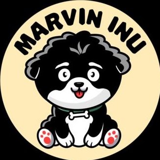 Image result for MarvinInu