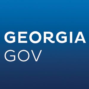 Image result for Government of Georgia