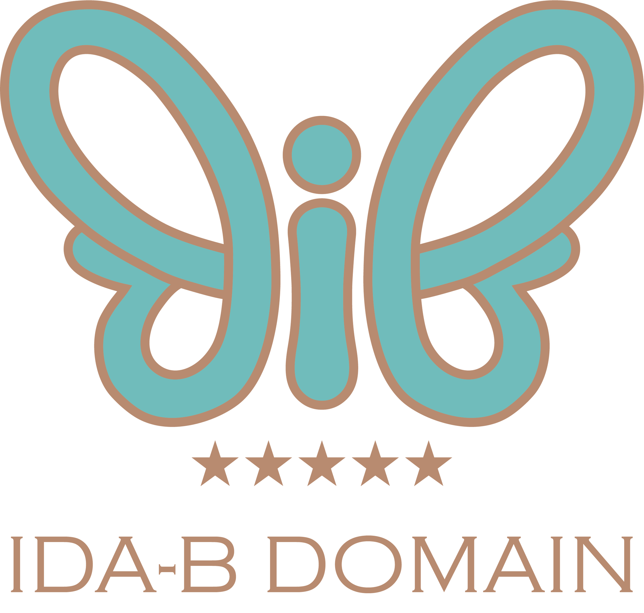 Image result for Ida-B-Domain