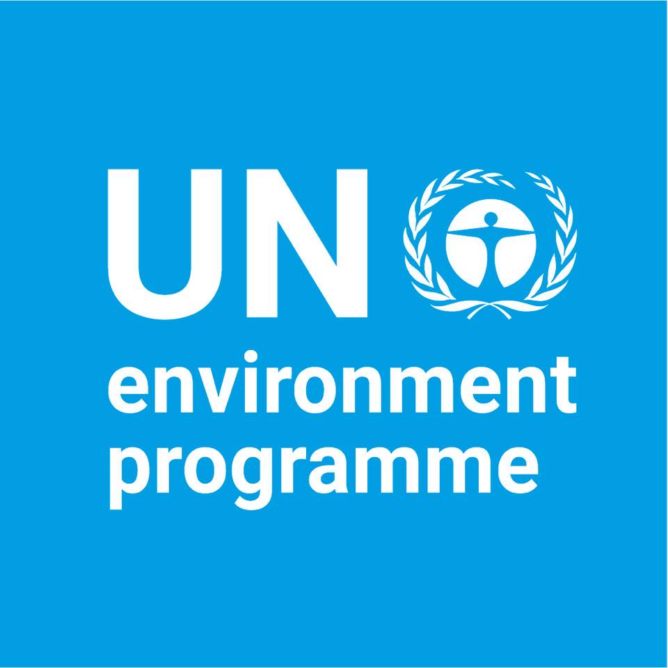 Image result for United Nations Environment Programme National Committee for the Republic of Korea