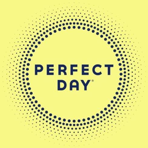 Image result for Perfect Day