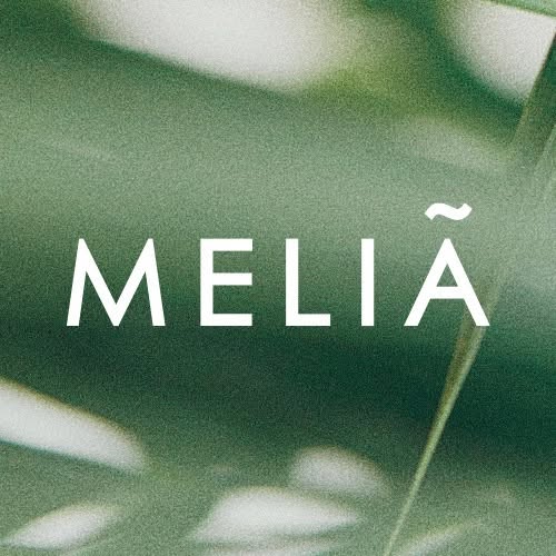Meliá Buenavista