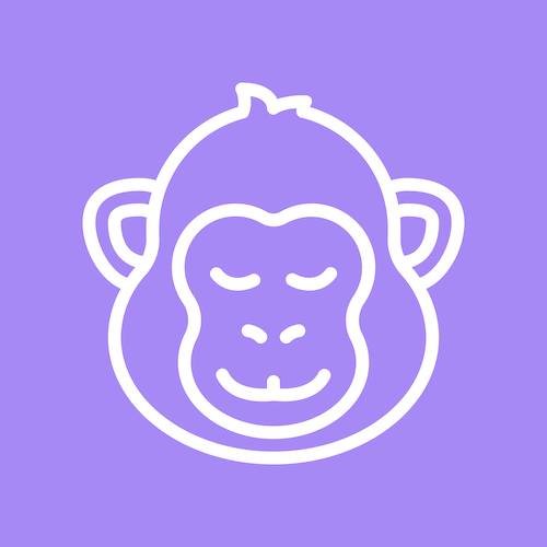 Image result for CopyMonkey