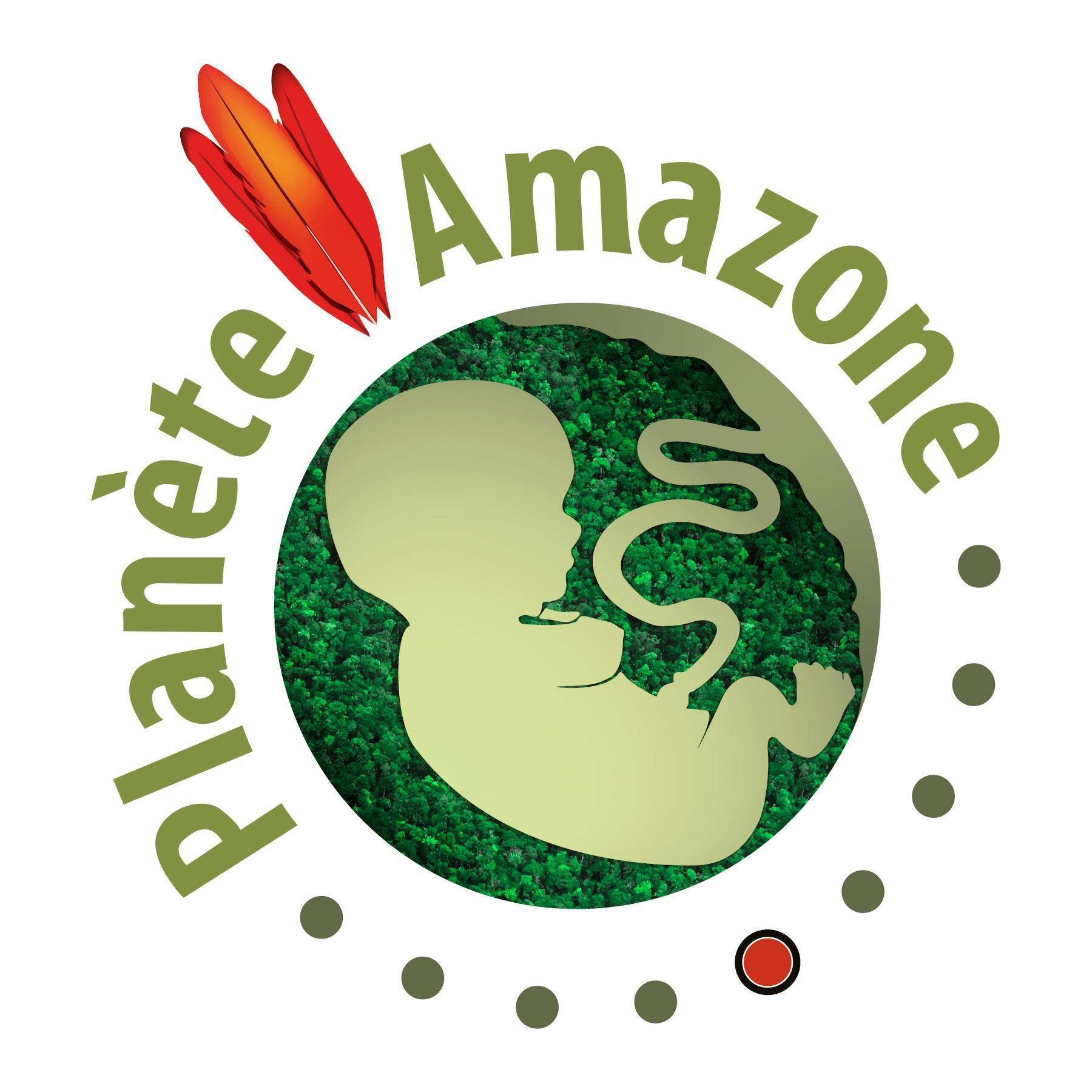 Image result for Planète Amazone