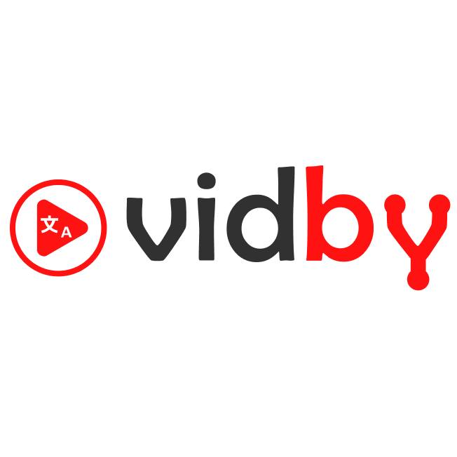 Image result for Vidby