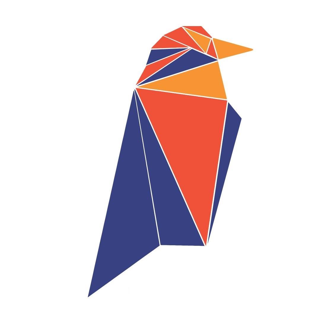 Image result for Ravencoin