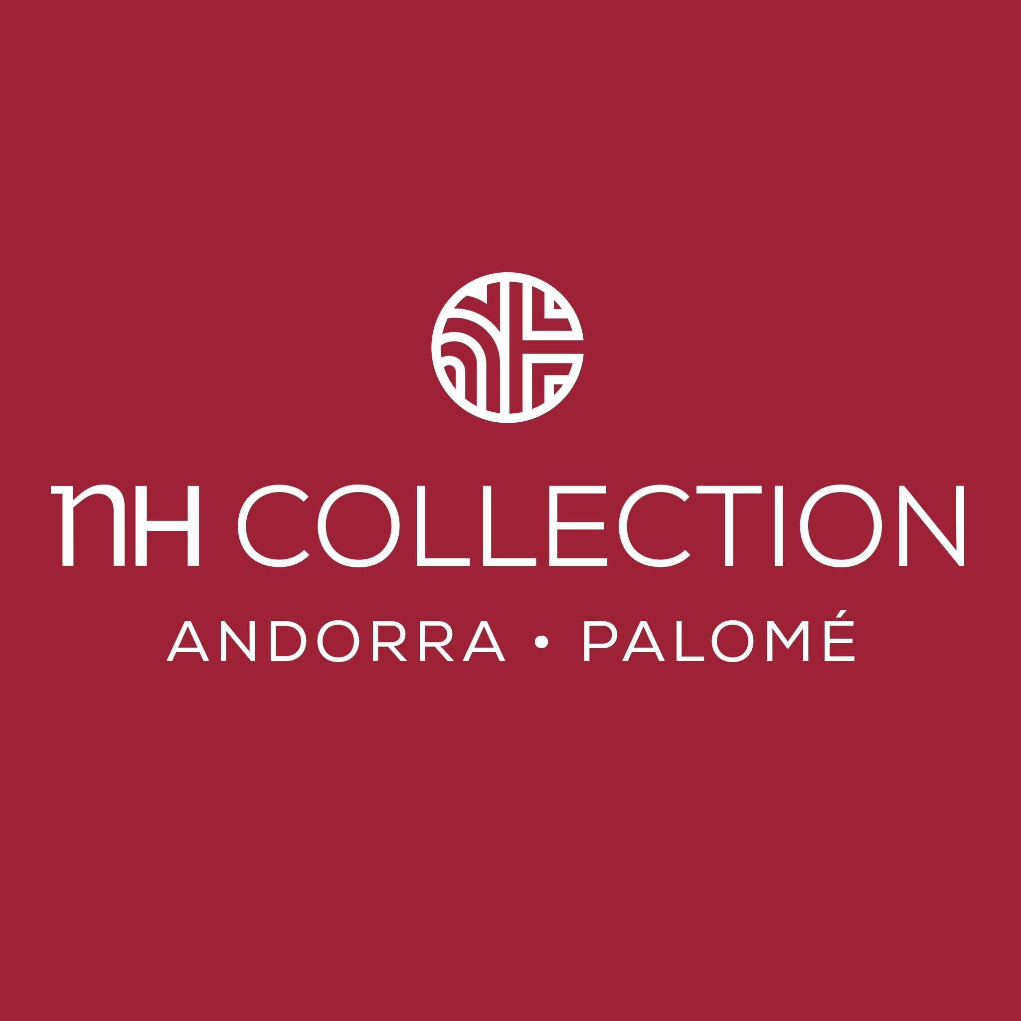 Image result for NH Collection Andorra Palomé