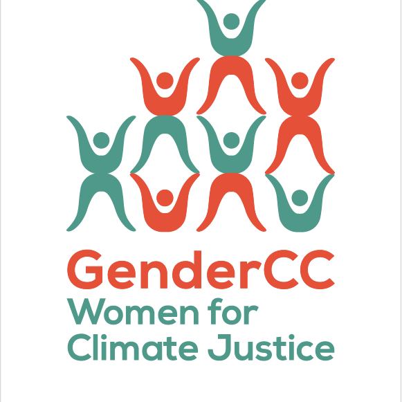 Image result for GenderCC - Women for Climate Justice e.V. (GenderCC)