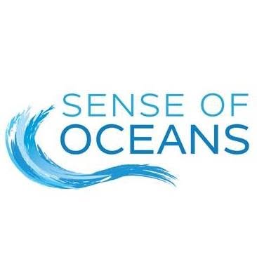 Image result for Sense of Oceans