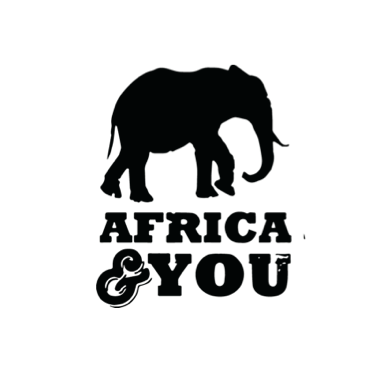 Image result for Africa&You