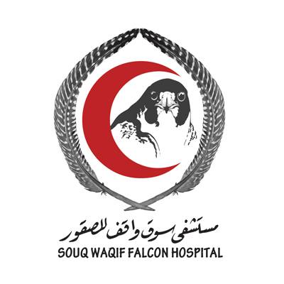 Image result for Souq Waqif Falcon Hospital