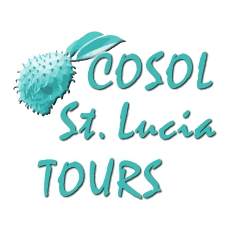Image result for Cosol Tours