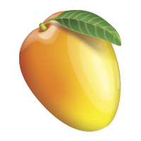 Image result for Mango SEO