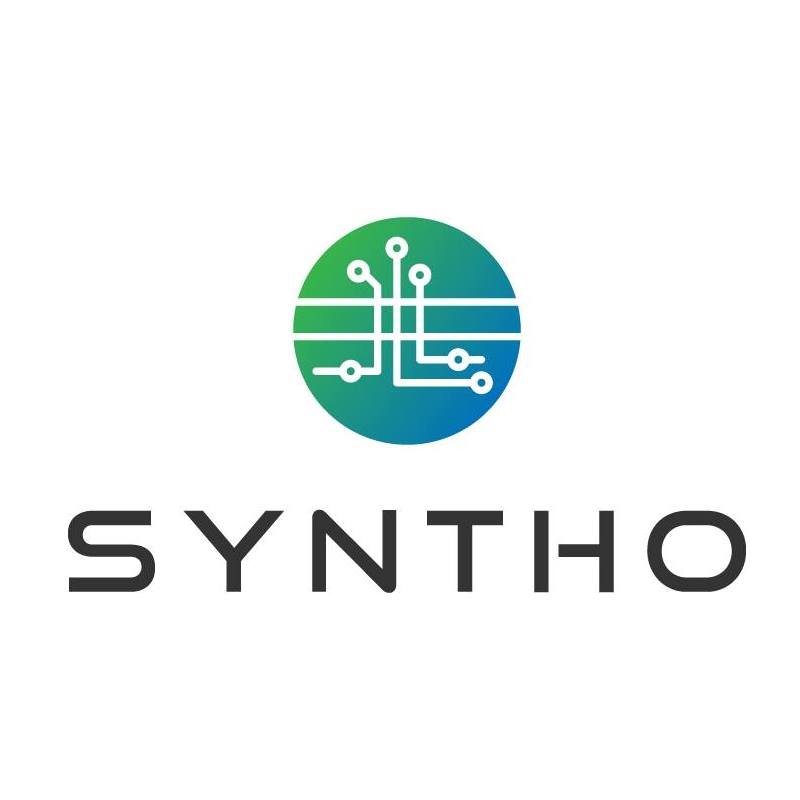 Image result for Syntho