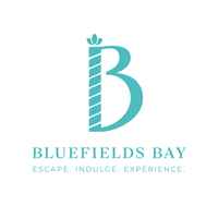 Image result for Bluefields Bay Villas