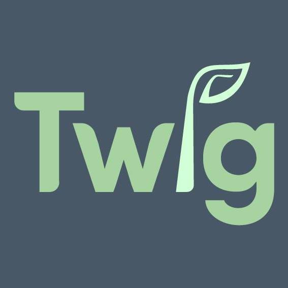 Image result for Twig