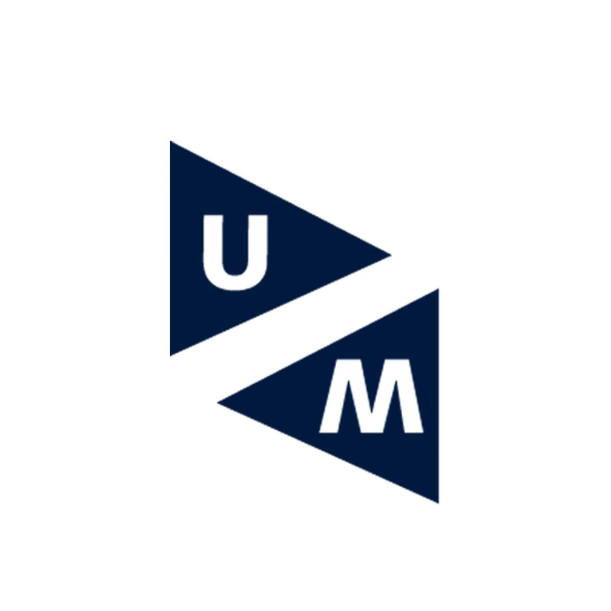 Image result for Maastricht University (UM)