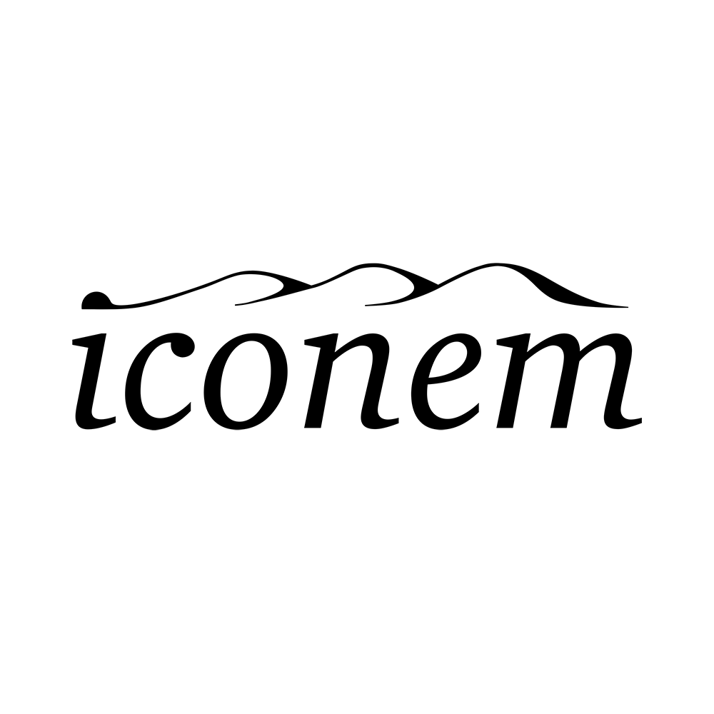 Image result for ICONEM