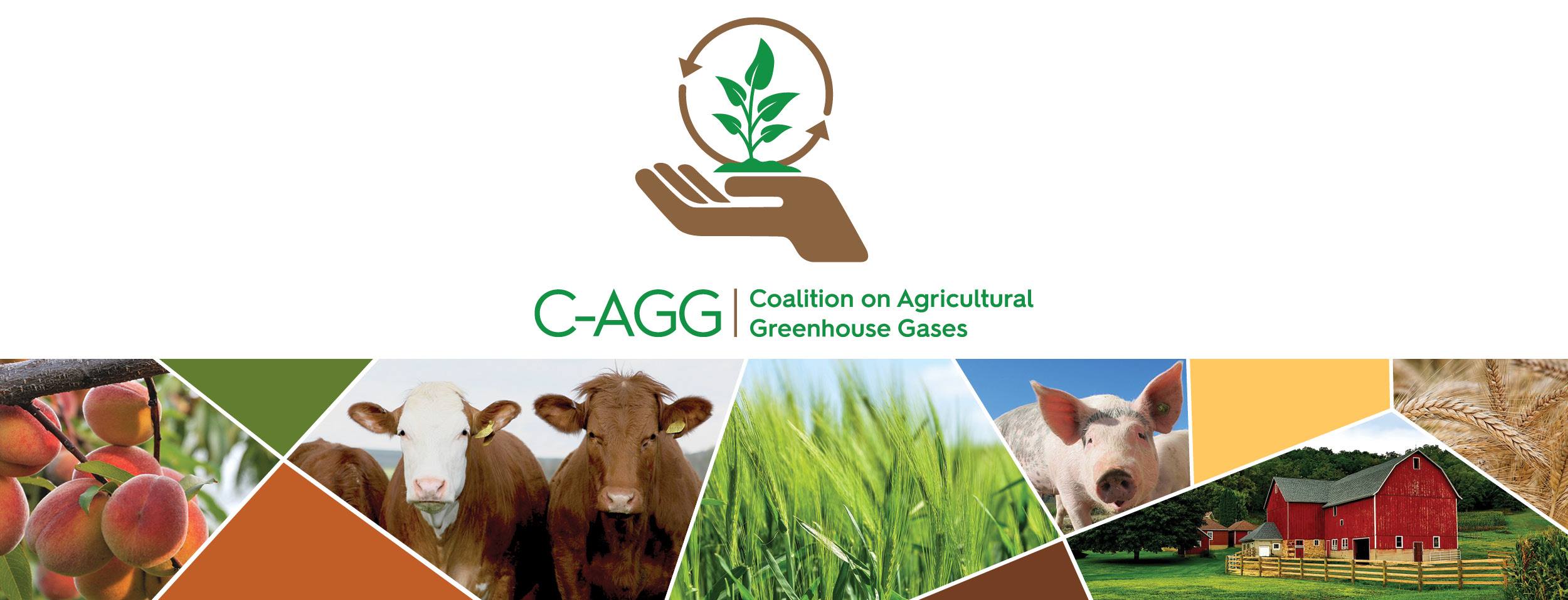 Image result for Coalition on Agricultural Greenhouse Gases (C-AGG)