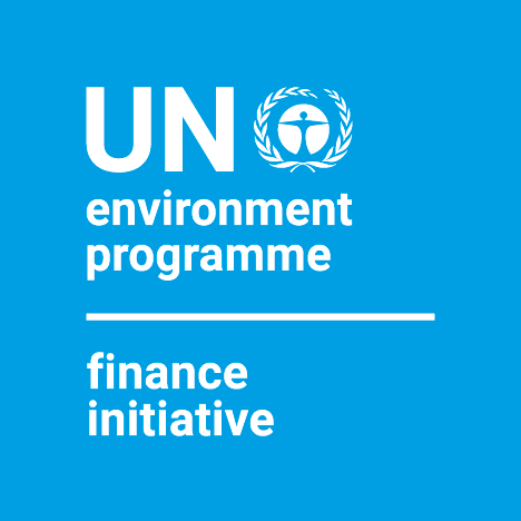 Image result for UNEP - Finance Initiative (UNEP FI)