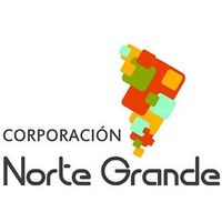 Image result for Corporación de Estudios y Desarrollo Norte Grande (CNG)