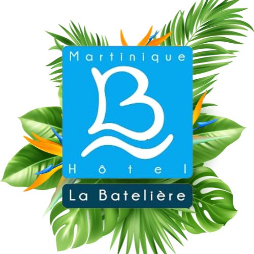 Image result for La Bleu Marine @ Hôtel La Batelière