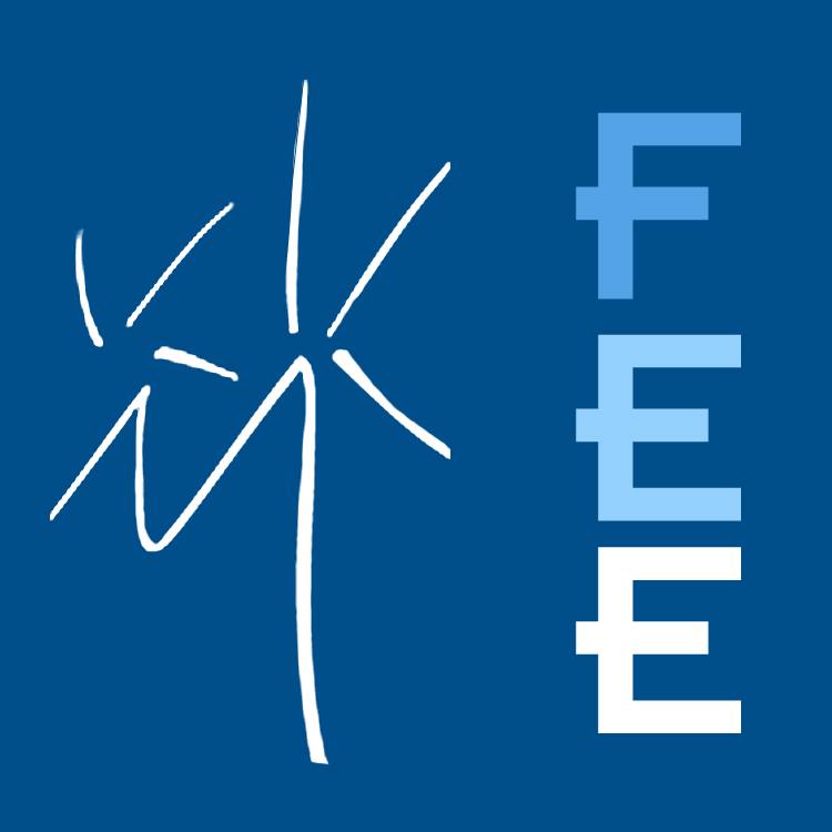 Image result for France Energie Eolienne (FEE)